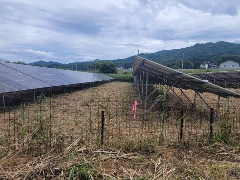 Read more about the article 【岩手県の皆さまへ】除草作業は一坪100円〜！